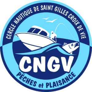 Logo-CNGV-2015_GP-.png